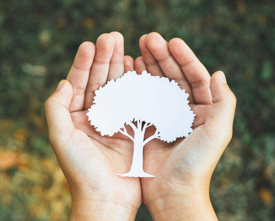 Certificazione PrintReleaf: qualità e sostenibilità