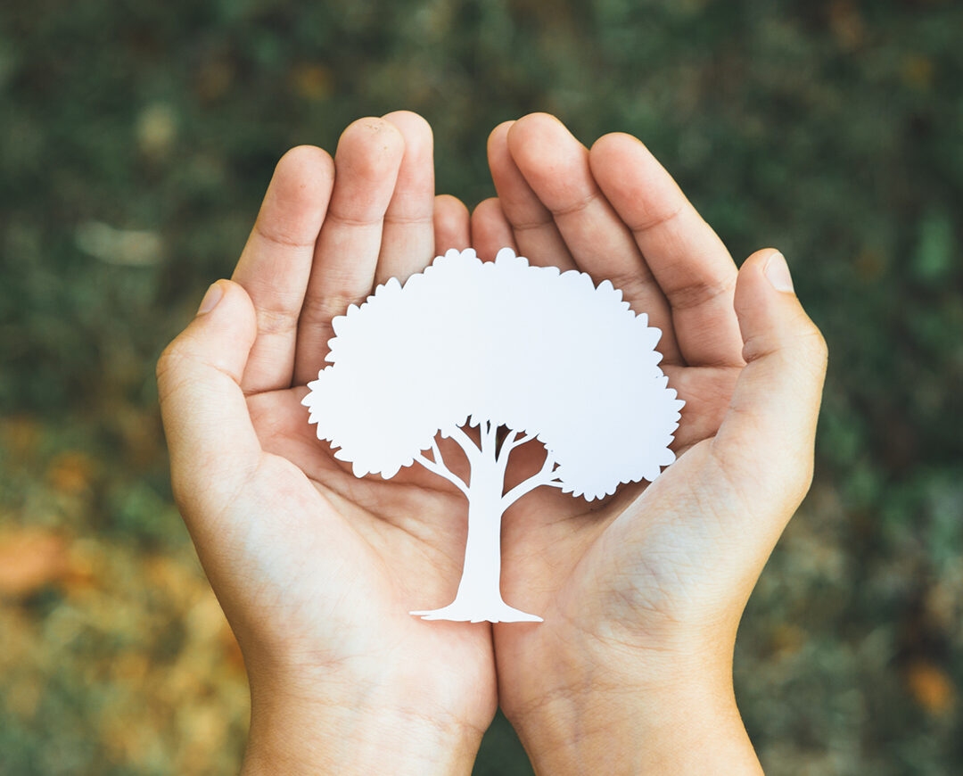 Certificazione PrintReleaf: qualità e sostenibilità